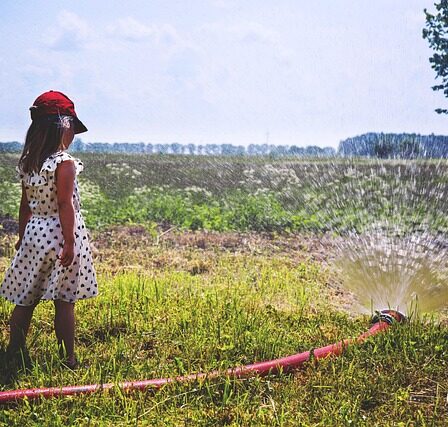 Sprinklervæske: Myter vs. fakta – Hvad skal du virkelig vide?