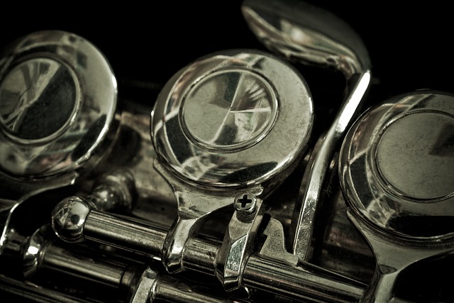Haba's Fløjter til Musikalsk Leg og Læring