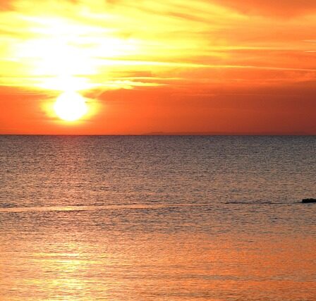 Paddleboarding: Den nye trendsport, der styrker både krop og sind