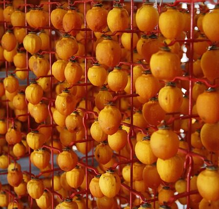 Vaskedag bliver en leg med disse innovative tørrestativer