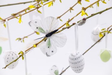 Minimalisme møder maksimalisme: Tendenser der dominerer 2024